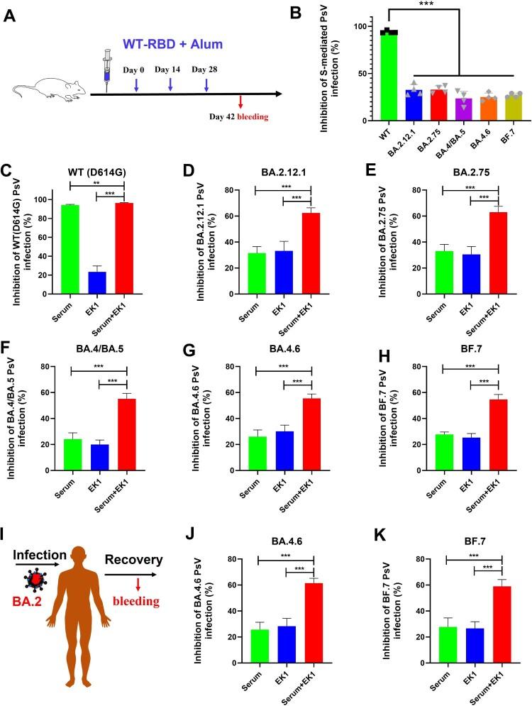 https://cdn.ncbi.nlm.nih.gov/pmc/blobs/60eb/9970205/0fd62d0d3c71/TEMI_A_2178241_F0004_OC.jpg