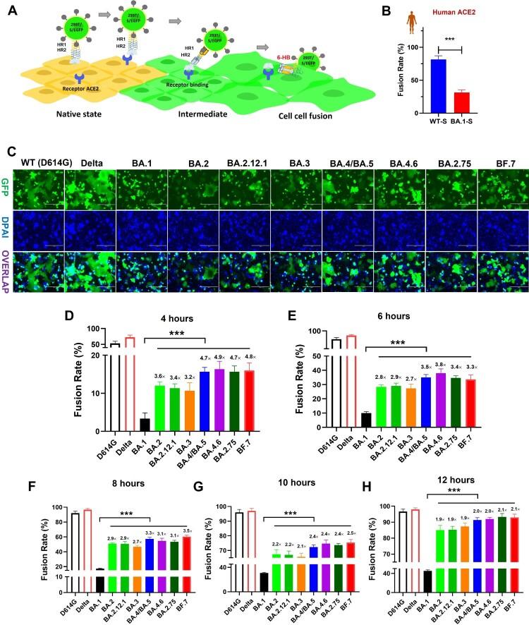 https://cdn.ncbi.nlm.nih.gov/pmc/blobs/60eb/9970205/861f43d17a89/TEMI_A_2178241_F0001_OC.jpg