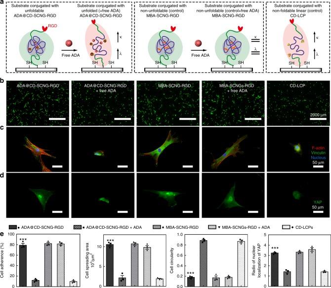 https://cdn.ncbi.nlm.nih.gov/pmc/blobs/60ef/6586678/3edcf91bcab2/41467_2019_10640_Fig5_HTML.jpg