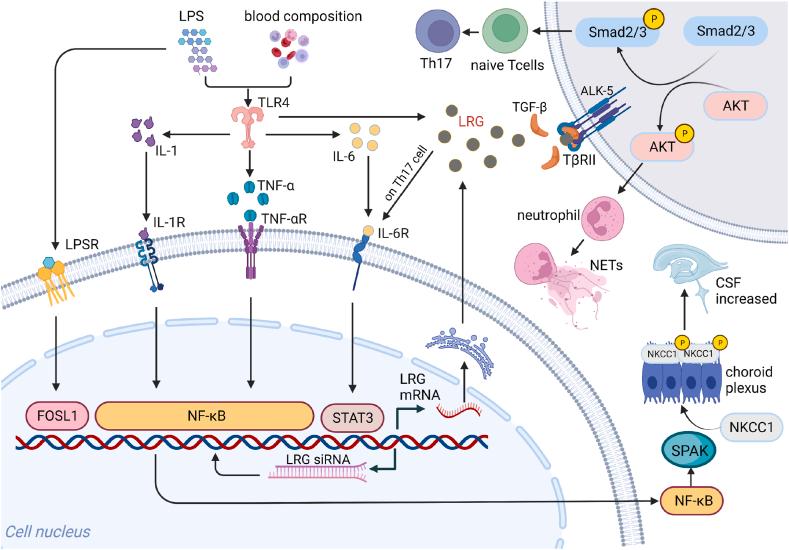 https://cdn.ncbi.nlm.nih.gov/pmc/blobs/60f3/10784321/3f1ba83a9f2f/gr3.jpg