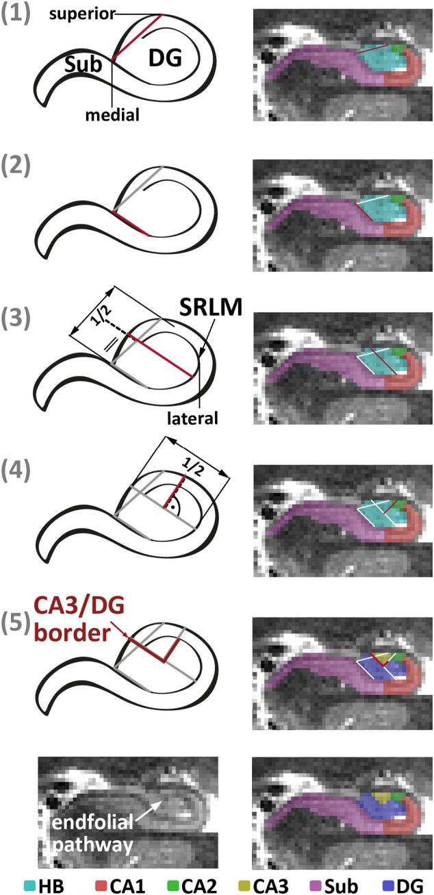 https://cdn.ncbi.nlm.nih.gov/pmc/blobs/60f8/5476466/7320903d9721/gr8.jpg