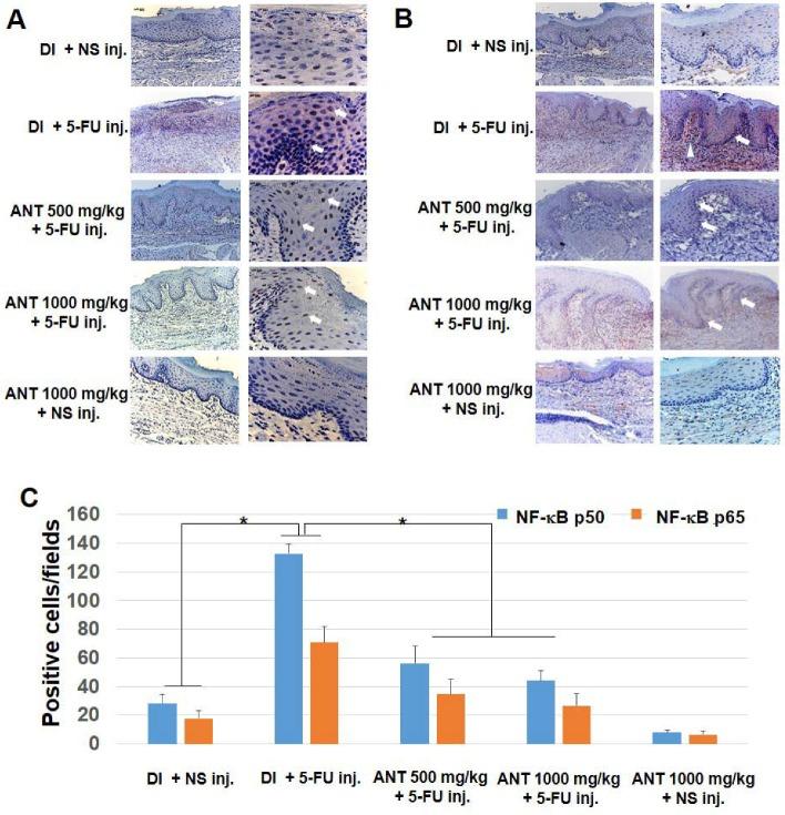 https://cdn.ncbi.nlm.nih.gov/pmc/blobs/60fa/6213925/9a23e0627d96/ijms-19-02981-g005.jpg