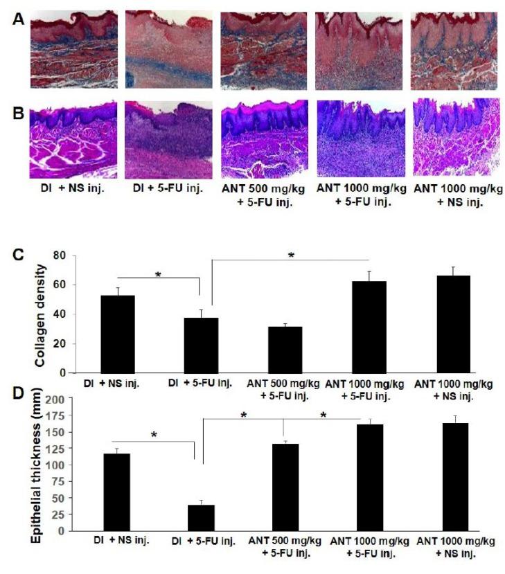 https://cdn.ncbi.nlm.nih.gov/pmc/blobs/60fa/6213925/ad75666c7bac/ijms-19-02981-g004.jpg