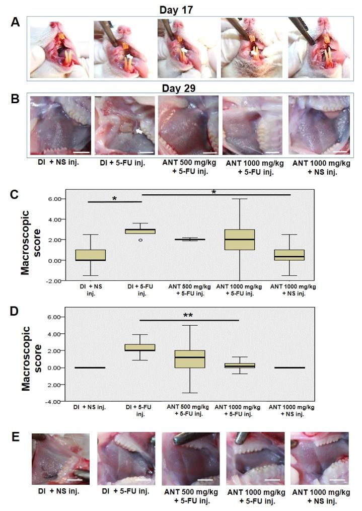 https://cdn.ncbi.nlm.nih.gov/pmc/blobs/60fa/6213925/adb20ef91b19/ijms-19-02981-g003.jpg