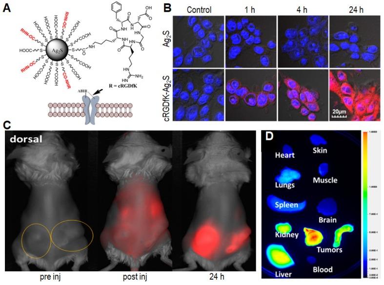 https://cdn.ncbi.nlm.nih.gov/pmc/blobs/60fa/6993224/d9e321fd15fe/thnov10p1923g005.jpg
