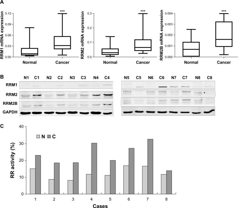 https://cdn.ncbi.nlm.nih.gov/pmc/blobs/60fb/3848983/5968d4f8485f/ott-6-1707Fig1.jpg