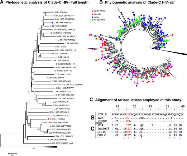 https://cdn.ncbi.nlm.nih.gov/pmc/blobs/60fc/3686704/d024ed668290/1742-4690-10-61-1.jpg
