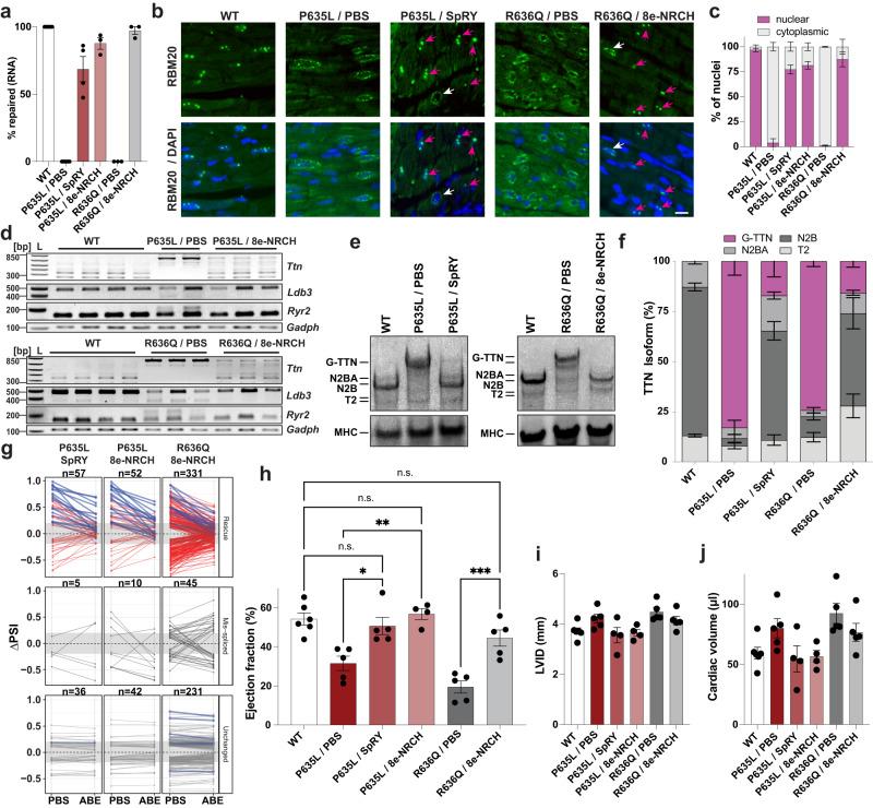 https://cdn.ncbi.nlm.nih.gov/pmc/blobs/60fe/10287752/eba29511d392/41467_2023_39352_Fig3_HTML.jpg