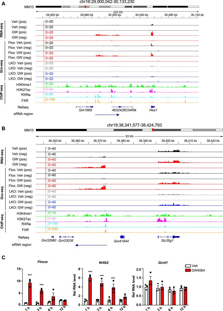 https://cdn.ncbi.nlm.nih.gov/pmc/blobs/60ff/11018349/dafae281fc1c/elife-91438-fig1-figsupp1.jpg
