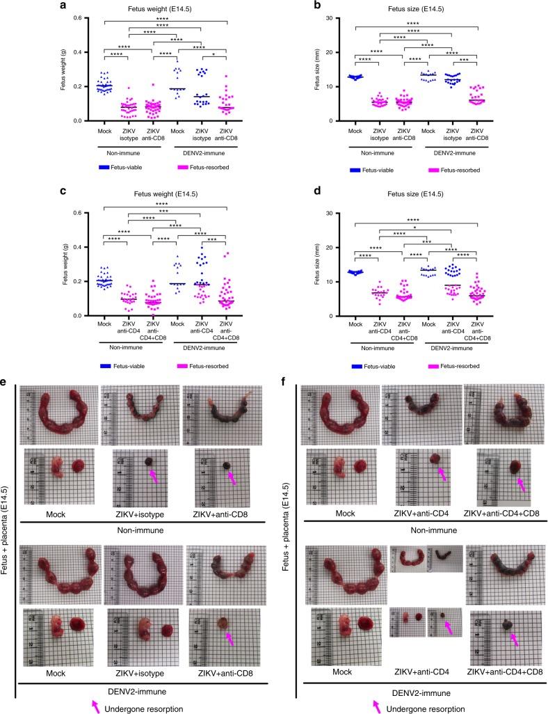 https://cdn.ncbi.nlm.nih.gov/pmc/blobs/6103/6072705/45095dc987f5/41467_2018_5458_Fig1_HTML.jpg
