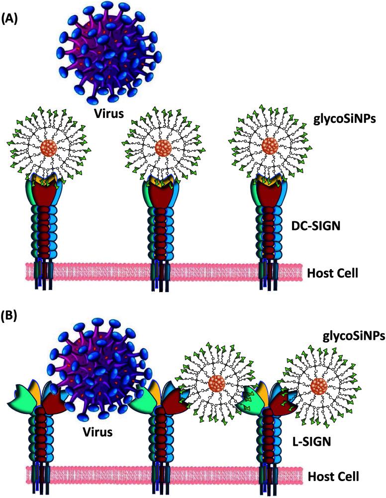 https://cdn.ncbi.nlm.nih.gov/pmc/blobs/6106/11881045/8b1ec4966abb/am4c15918_0009.jpg