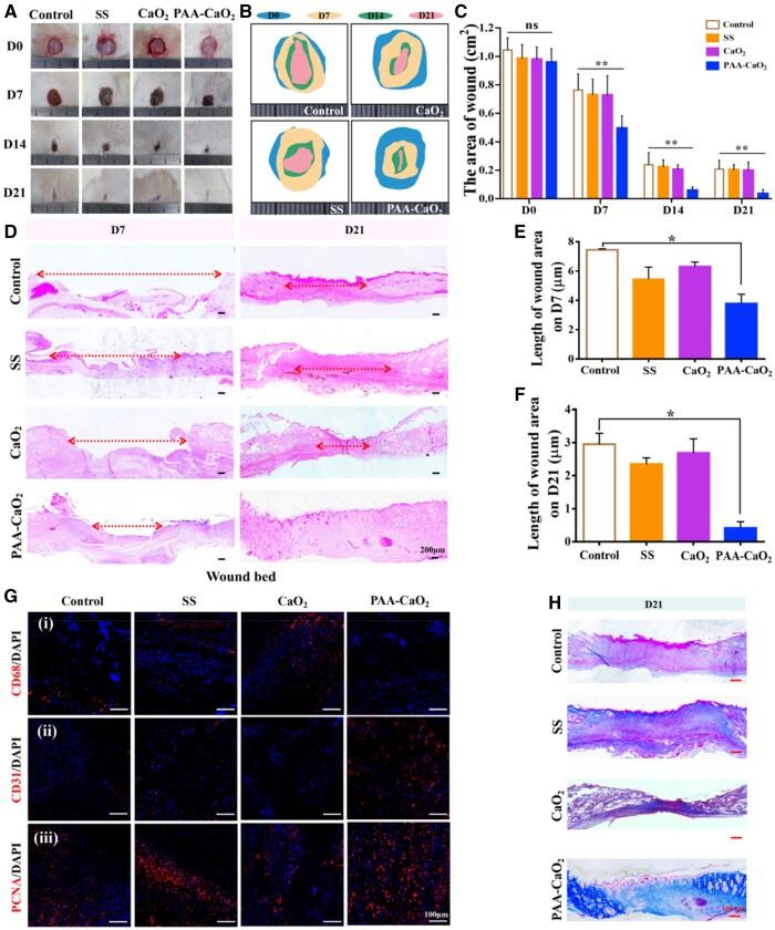 https://cdn.ncbi.nlm.nih.gov/pmc/blobs/6108/10503269/6bd8fc0366d7/rbad071f5.jpg