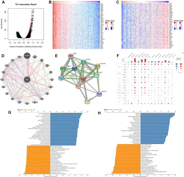 https://cdn.ncbi.nlm.nih.gov/pmc/blobs/6108/9403003/2f09cb63ab1c/fgene-13-899384-g004.jpg