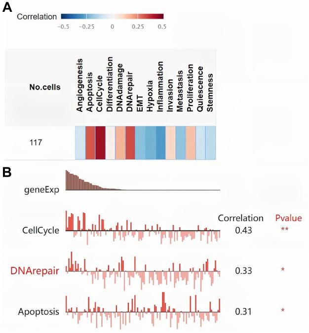 https://cdn.ncbi.nlm.nih.gov/pmc/blobs/6108/9403003/65a462c6a635/fgene-13-899384-g005.jpg