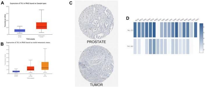 https://cdn.ncbi.nlm.nih.gov/pmc/blobs/6108/9403003/7818b563e068/fgene-13-899384-g001.jpg
