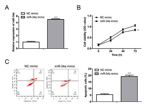 https://cdn.ncbi.nlm.nih.gov/pmc/blobs/610c/12051414/2df236f42278/ejh-69-2-4176-g002.jpg