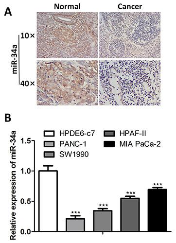 https://cdn.ncbi.nlm.nih.gov/pmc/blobs/610c/12051414/395346d0b53b/ejh-69-2-4176-g001.jpg
