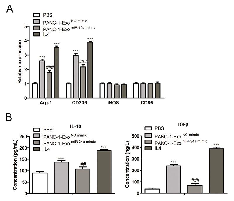 https://cdn.ncbi.nlm.nih.gov/pmc/blobs/610c/12051414/9c2505061c4d/ejh-69-2-4176-g005.jpg