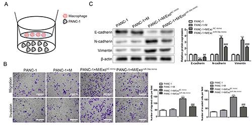 https://cdn.ncbi.nlm.nih.gov/pmc/blobs/610c/12051414/f40d41054f0c/ejh-69-2-4176-g006.jpg