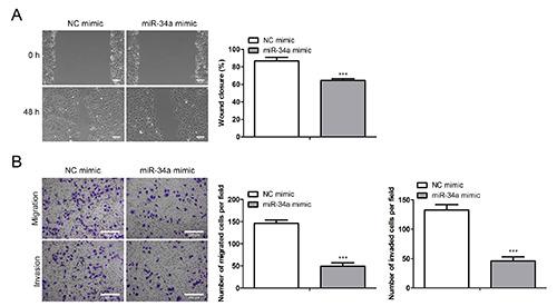 https://cdn.ncbi.nlm.nih.gov/pmc/blobs/610c/12051414/f864c7b80299/ejh-69-2-4176-g003.jpg