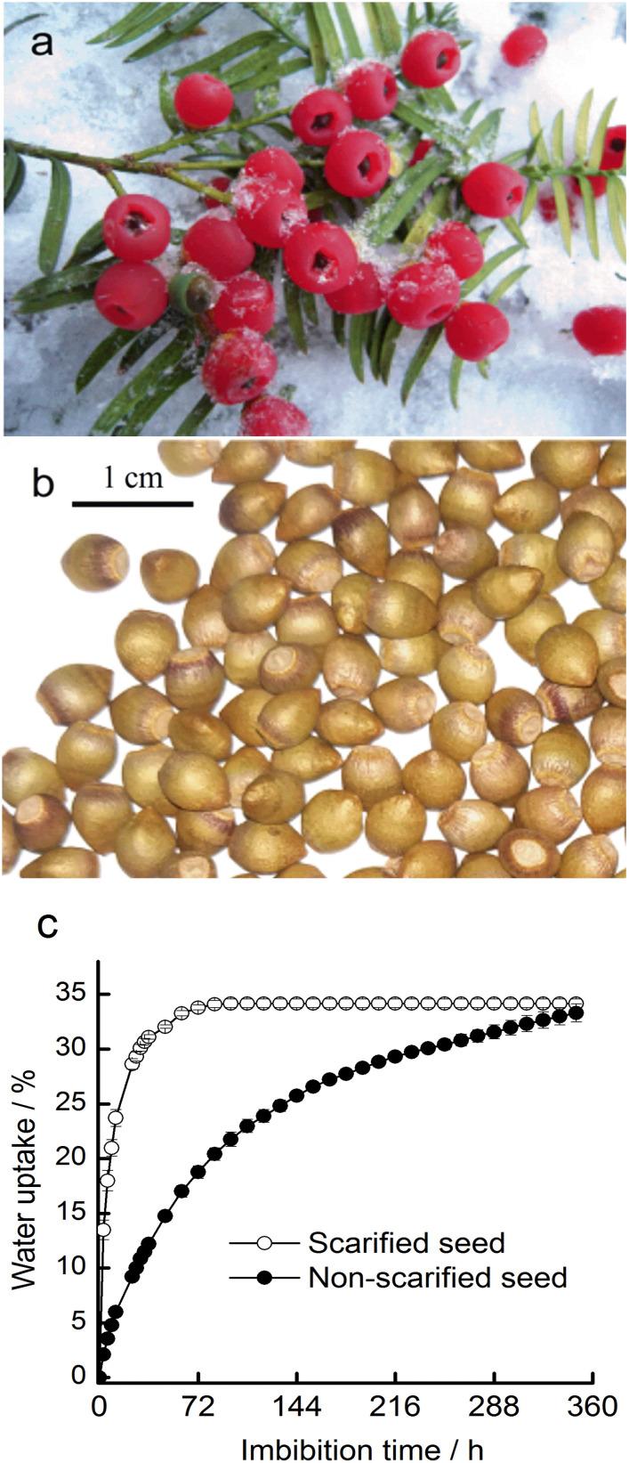 https://cdn.ncbi.nlm.nih.gov/pmc/blobs/610d/10022827/9e79cae07e11/fpls-14-1114629-g001.jpg