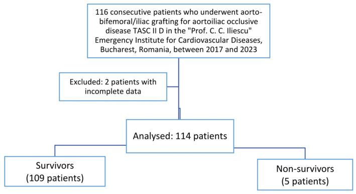 https://cdn.ncbi.nlm.nih.gov/pmc/blobs/610d/11546754/9fe95cb4c19f/jcm-13-06338-g001.jpg