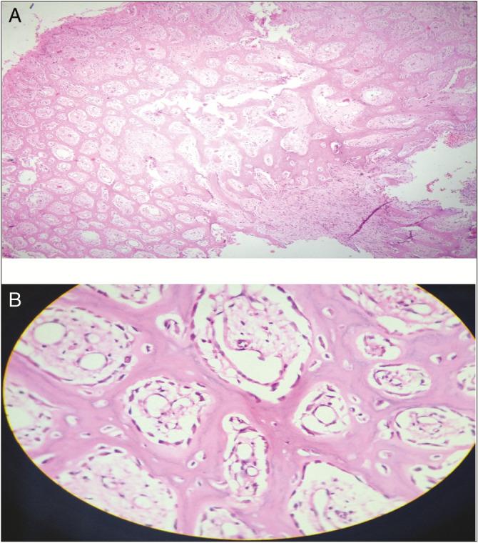 https://cdn.ncbi.nlm.nih.gov/pmc/blobs/610d/7595502/50ada321651f/JPBS-12-640-g003.jpg