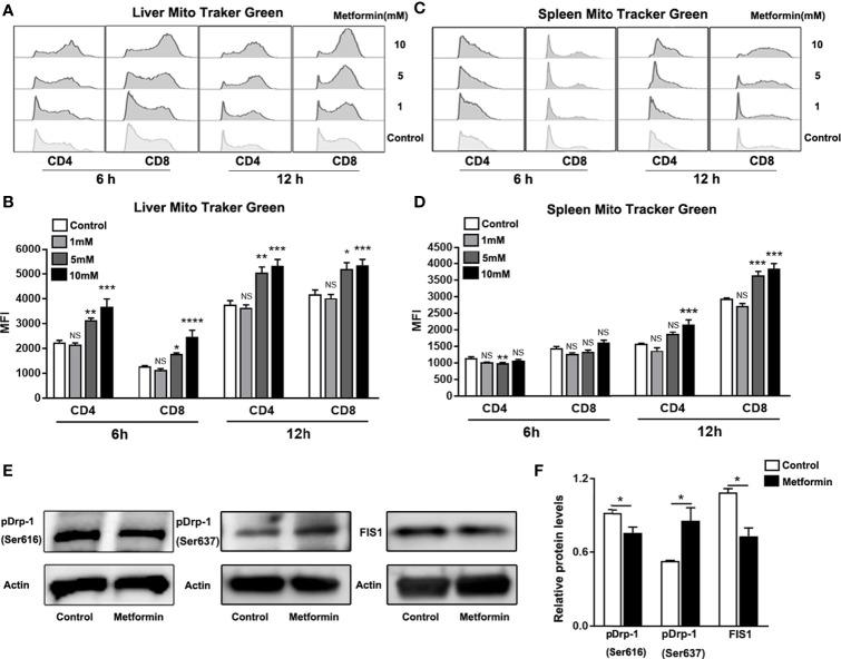 https://cdn.ncbi.nlm.nih.gov/pmc/blobs/610f/8097169/35a4b0d376ad/fimmu-12-638575-g005.jpg