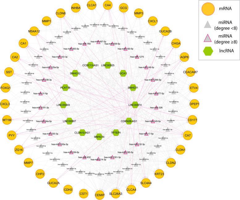 https://cdn.ncbi.nlm.nih.gov/pmc/blobs/6110/9339198/00f876d239c7/12885_2022_9931_Fig6_HTML.jpg