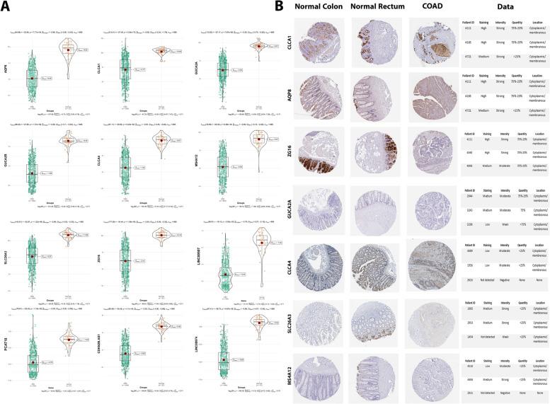 https://cdn.ncbi.nlm.nih.gov/pmc/blobs/6110/9339198/8a5b6b45a2b2/12885_2022_9931_Fig7_HTML.jpg
