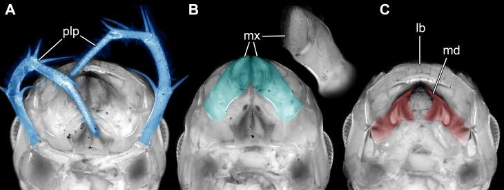 https://cdn.ncbi.nlm.nih.gov/pmc/blobs/6111/5452959/b85f4d9ad8dd/peerj-05-3402-g004.jpg