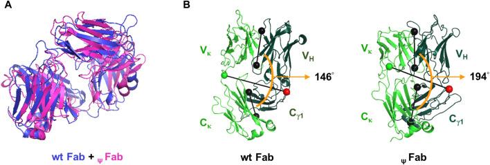 https://cdn.ncbi.nlm.nih.gov/pmc/blobs/6112/11096469/ca9dbede071c/fmolb-11-1346259-g005.jpg