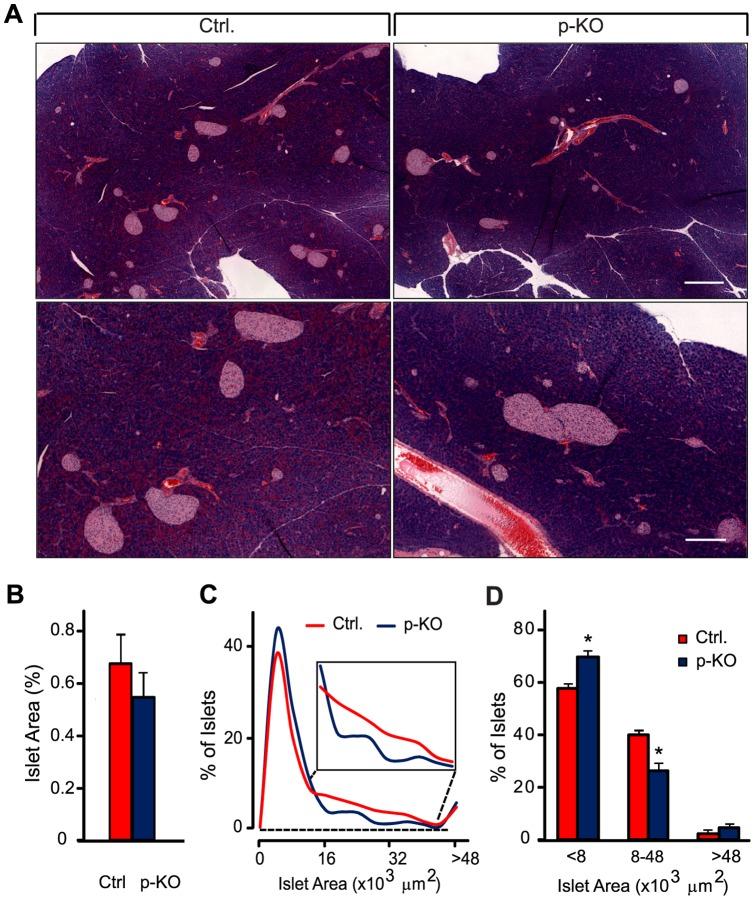 https://cdn.ncbi.nlm.nih.gov/pmc/blobs/6113/3726616/40d5f35a4e06/pone.0071277.g001.jpg