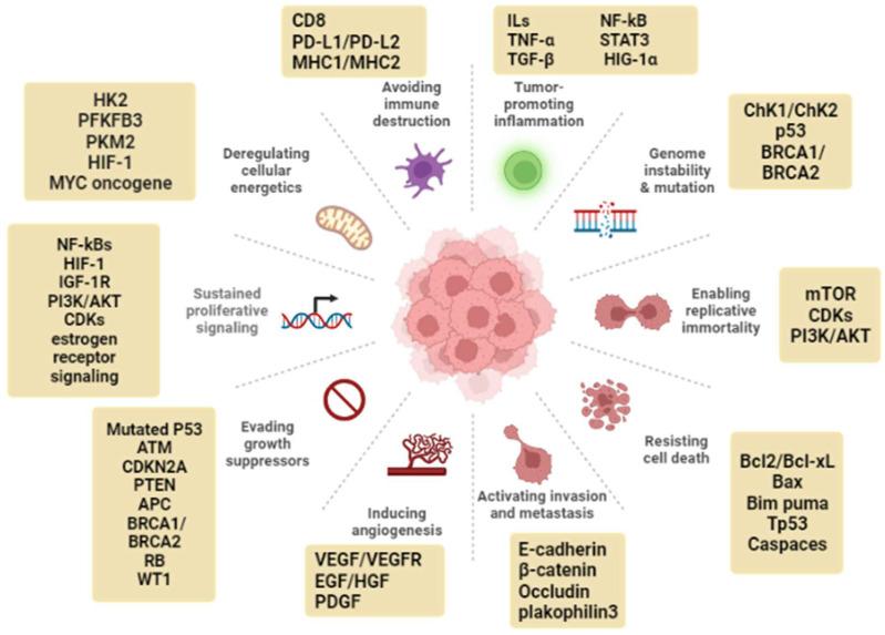 https://cdn.ncbi.nlm.nih.gov/pmc/blobs/6113/9369847/fb06c5d3068a/molecules-27-04818-g001.jpg