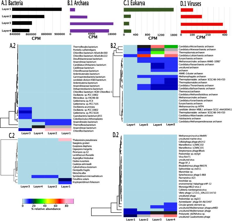 https://cdn.ncbi.nlm.nih.gov/pmc/blobs/6114/10831059/76592760ef82/41598_2024_52626_Fig1_HTML.jpg
