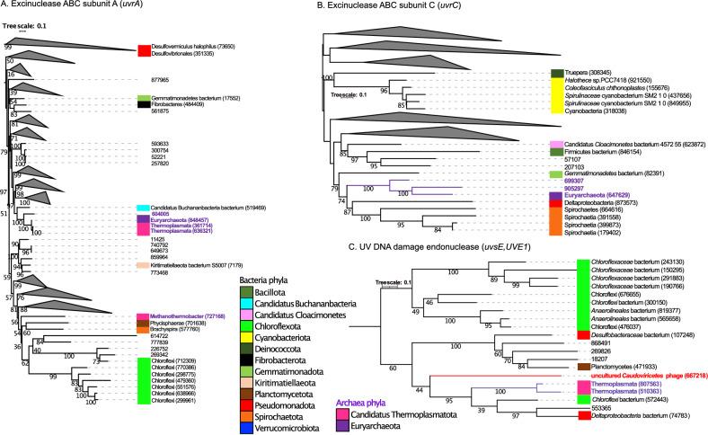 https://cdn.ncbi.nlm.nih.gov/pmc/blobs/6114/10831059/eb34bad97756/41598_2024_52626_Fig6_HTML.jpg