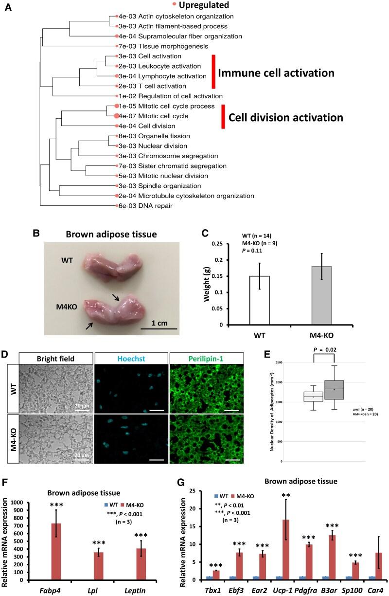 https://cdn.ncbi.nlm.nih.gov/pmc/blobs/6114/12012353/7181c6291cc7/bqaf064f6.jpg