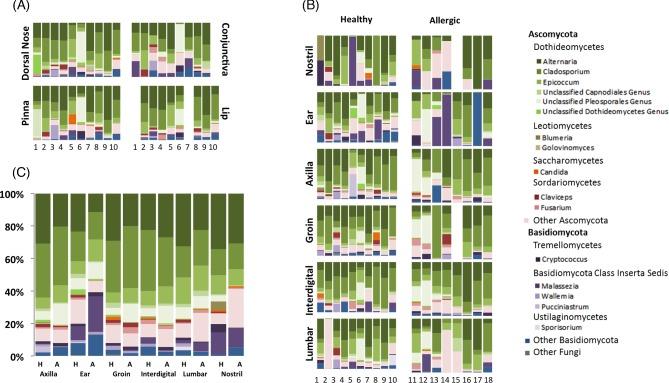https://cdn.ncbi.nlm.nih.gov/pmc/blobs/6114/4657189/38c9d421a4a6/fiv139fig4.jpg