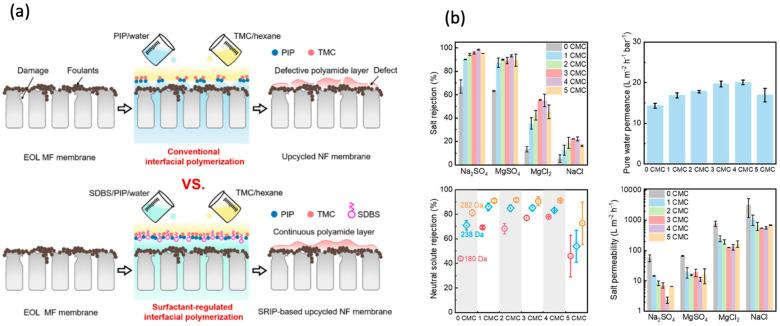 https://cdn.ncbi.nlm.nih.gov/pmc/blobs/6117/10890584/52e6274318d7/membranes-14-00052-g002.jpg