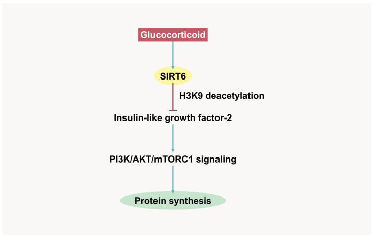 https://cdn.ncbi.nlm.nih.gov/pmc/blobs/6117/12347798/c91f6339ba3b/ijms-26-07616-g002.jpg