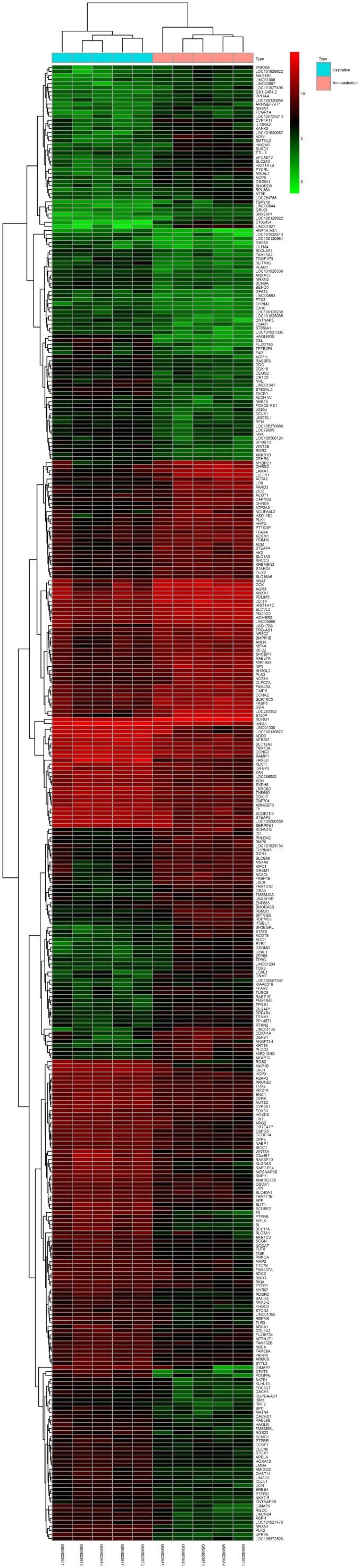 https://cdn.ncbi.nlm.nih.gov/pmc/blobs/6118/5865838/ff9b71cba353/mmr-16-05-6803-g00.jpg