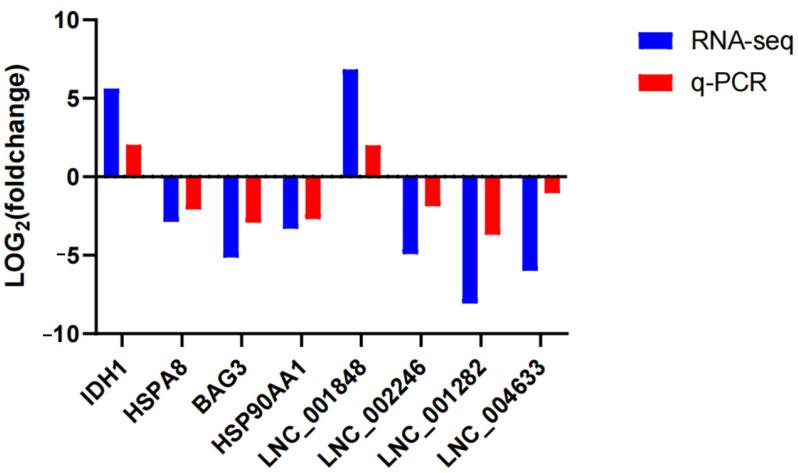 https://cdn.ncbi.nlm.nih.gov/pmc/blobs/6119/11121607/fc7a5f62252d/ijms-25-05393-g007.jpg