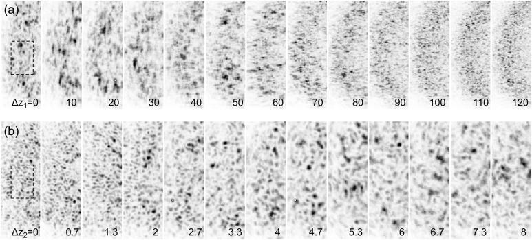 https://cdn.ncbi.nlm.nih.gov/pmc/blobs/6119/4416675/6cece5774ced/s-22-00599-fig2.jpg