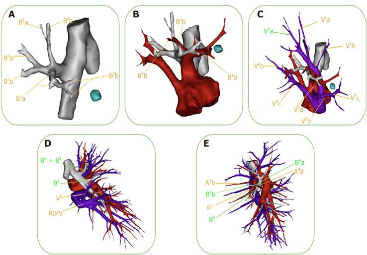 https://cdn.ncbi.nlm.nih.gov/pmc/blobs/611a/8686156/a6cee32f4ed0/WJCC-9-10494-g002.jpg