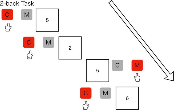 https://cdn.ncbi.nlm.nih.gov/pmc/blobs/611b/11917102/3157054971ee/13063_2025_8807_Fig5_HTML.jpg
