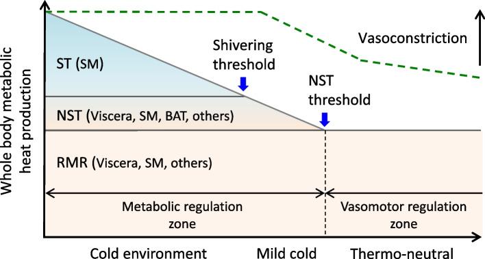 https://cdn.ncbi.nlm.nih.gov/pmc/blobs/611c/11837704/ddf5fd61634b/40101_2025_387_Fig1_HTML.jpg