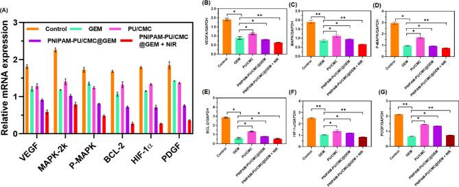 https://cdn.ncbi.nlm.nih.gov/pmc/blobs/611d/12285038/91c2aa15f330/13036_2025_530_Fig10_HTML.jpg