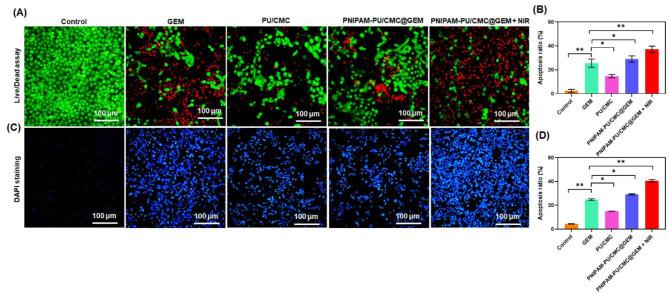 https://cdn.ncbi.nlm.nih.gov/pmc/blobs/611d/12285038/ed8ac39bf032/13036_2025_530_Fig6_HTML.jpg