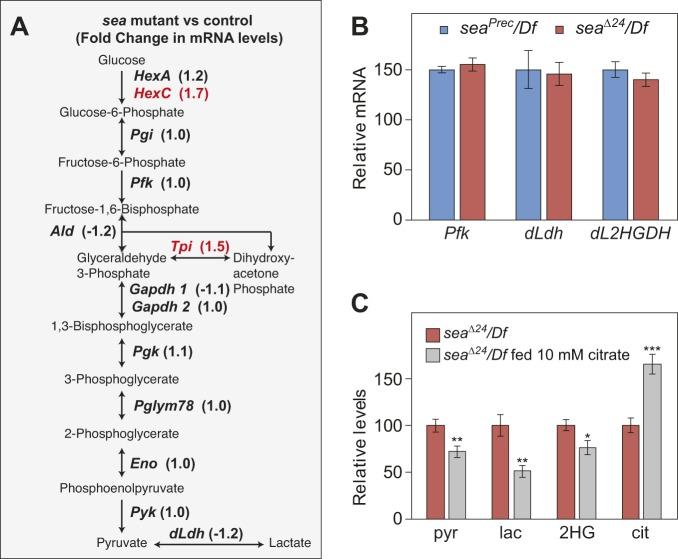 https://cdn.ncbi.nlm.nih.gov/pmc/blobs/611f/6177012/a65763083166/dmm-11-035337-g3.jpg