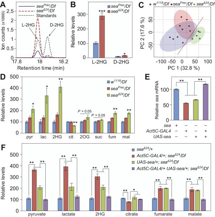 https://cdn.ncbi.nlm.nih.gov/pmc/blobs/611f/6177012/bdb77b52ae60/dmm-11-035337-g1.jpg
